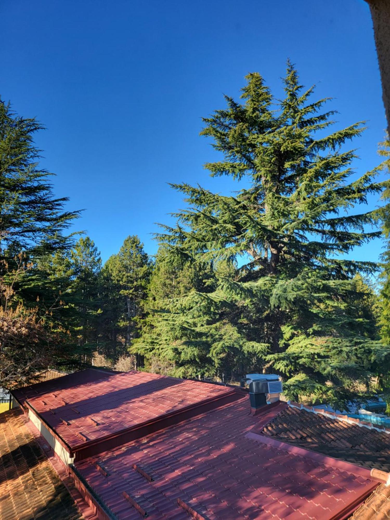 Mayberry Lake - Villa Medijapark เพรตอร์ ภายนอก รูปภาพ